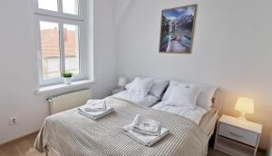 En eller flere senge i et værelse på Przestronny apartament nr 7 z widokiem na góry Sowie