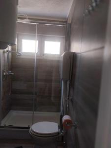 a small bathroom with a toilet and a shower at Pag Sea Mare in Pag