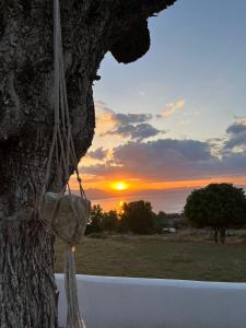 una bolsa colgando de un árbol con una puesta de sol en el fondo en Daphné Village House - close to Methana & Poros, en Metana