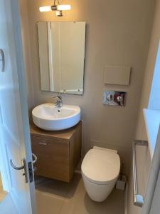 ein Badezimmer mit einem WC, einem Waschbecken und einem Spiegel in der Unterkunft 2 person studio flat near Richmond Park in Strawberry Hill