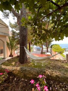 a hammock hanging from a tree in a yard at Apartments Nautilus in Ulcinj