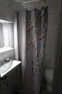 y baño con lavabo, aseo y cortina de ducha. en Δ1 - Τα διαμερίσματα του δασκάλου στα Φιλιατρά, en Filiatra