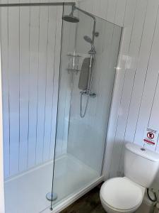 y baño con ducha y aseo. en Cariad Bach en Llandudno