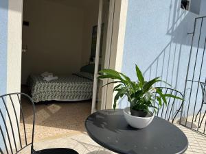 une table avec une plante en pot sur un balcon dans l'établissement HOTEL BLUE SKY, à Rimini