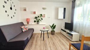 クルクにあるApartment Jagodaのソファとテレビのあるリビングルーム