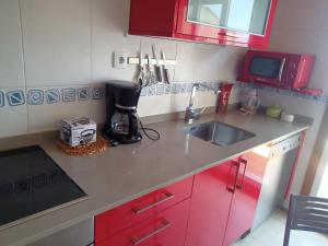 a small kitchen with red cabinets and a sink at MARINA SOL VIVEIRO in Viveiro