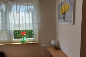 a window with a vase with a flower on a window sill at Międzyzdroje, widok na Bałtyk, świetna lokalizacja in Międzyzdroje