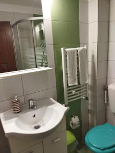 a bathroom with a sink and a mirror and a toilet at Pensiunea Krystinne in Hunedoara