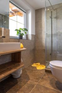 a bathroom with a shower and a sink and a toilet at Hotel-Appartement Hochkönig in Ramsau am Dachstein