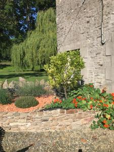 Ogród w obiekcie Charmant gîte entre vallée de la Rance et côte d'Emeraude