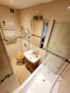 a bathroom with a shower and a sink and a toilet at Room4U mieszkania w centrum in Szklarska Poręba