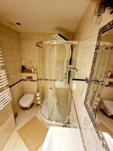 łazienka z prysznicem i toaletą w obiekcie Room4U mieszkania w centrum w Szklarskiej Porębie