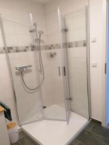 y baño con ducha y puerta de cristal. en Norderbarg, en Bredstedt
