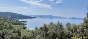 a view of a lake with trees in the foreground at VILLA IMELDA in Afissos