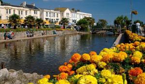 a river with a bunch of flowers in front of it at Dawlish Lawn View in Dawlish