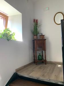 a room with a table with a plant on it at Apartamentos De Montaña Mendiola - Casa Ferran-Casa Karrikaburu in Valcarlos