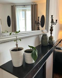 two potted plants on a black counter in front of a mirror at Chez La Vieille Dame in Cosne Cours sur Loire