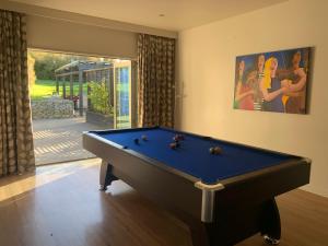 a billiard room with a pool table in front of a door at Brancott Ridge in Renwick