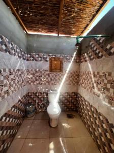 a bathroom with a toilet in a room with tiles at Sinai Life Beach Camp in Nuweiba