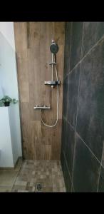 a bathroom with a shower with a shower head at Air marin in La Bernerie-en-Retz