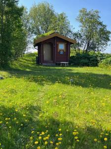 a small cabin in the middle of a field of grass at Gårdshytten, Dverbergveien 143 in Dverberg