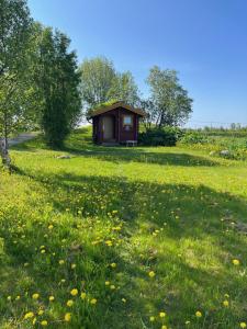 a small cabin in a field of grass with flowers at Gårdshytten, Dverbergveien 143 in Dverberg