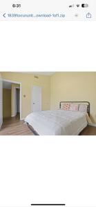 查尔斯湖Peaceful place的相册照片