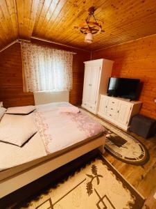 a bedroom with a bed and a tv in a room at Pensiunea Alexolar in Mătişeşti
