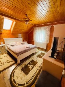 a bedroom with a bed and a tv in it at Pensiunea Alexolar in Mătişeşti