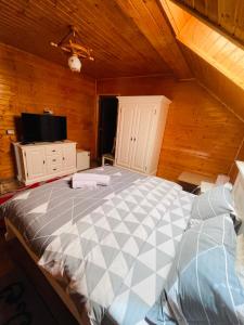 1 dormitorio con 1 cama grande en una habitación de madera en Pensiunea Alexolar en Mătişeşti