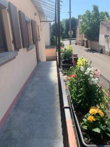 Zahrada ubytování Chez Georges et Rosa
