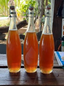 tres botellas de zumo de naranja sentadas en una mesa de madera en Lily Pad lodge en Rodrigues Island