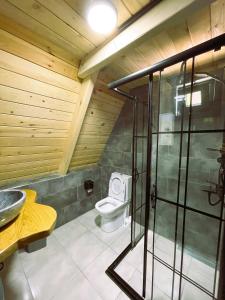a bathroom with a shower and a toilet at Tanura Bungalows in Çamlıhemşin +72 photos