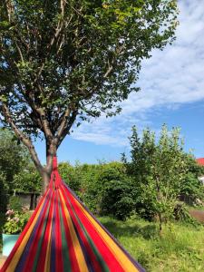 a red yellow and green hammock under a tree at Cozy House in Tʼelavi