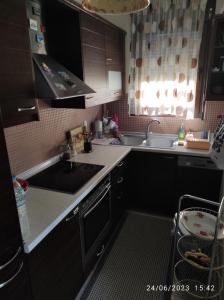 uma pequena cozinha com um lavatório e um fogão em ANNASHOUSE em Nea Peramos