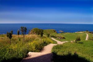 a couple of dirt roads leading to the ocean at TALABERRI in Bermeo