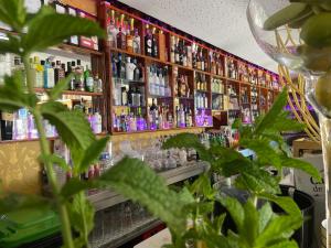 パレーデス・デ・コウラにあるAlojamento do Minhoのアルコールのボトルを多数取り揃えたバー