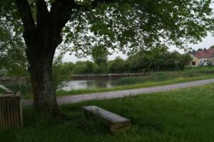 un banco del parque sentado bajo un árbol junto a un río en Maison de campagne à 2h de Paris, en Andryes