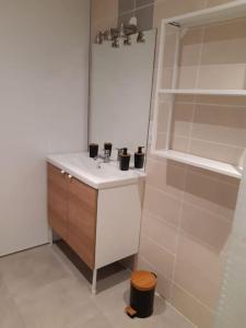 ein Bad mit einem Waschbecken und einem Spiegel in der Unterkunft Appart Cocooning in Périgny