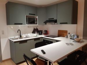 eine Küche mit einer Spüle und einer Arbeitsplatte in der Unterkunft Appart Cocooning in Périgny