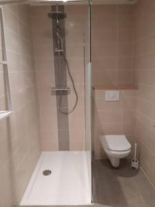 ein Bad mit einer Dusche und einem WC in der Unterkunft Appart Cocooning in Périgny