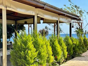 a row of christmas trees under a pavilion at Incekum Pansiyon in Bodrum City