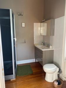 a bathroom with a toilet and a sink and a shower at La Maison du Markstein in Linthal