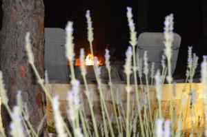 Fotografie z fotogalerie ubytování B&B Garden Grazia v destinaci Noto