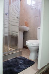 a bathroom with a toilet and a sink and a shower at Gielex Guest House in Durban