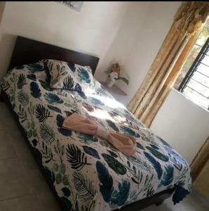 Lova arba lovos apgyvendinimo įstaigoje Pa Pasiar Hostal