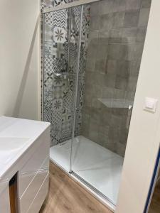 W łazience znajduje się prysznic ze szklanymi drzwiami. w obiekcie Maison 5 chambres 3sdb en ville avec piscine w mieście Périgueux