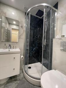 a bathroom with a shower and a sink at Stradinya apartment in Ventspils
