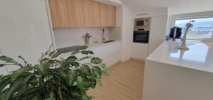a kitchen with a plant in the middle of it at Atico en apartamentos O Grove centro in O Grove