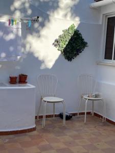 dos sillas sentadas junto a una pared con plantas. en The Tiles House, en Faro